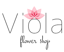Viola