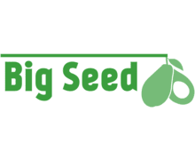 Big Seed