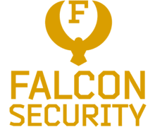 Falcon Security