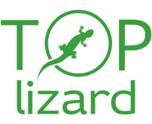 Top Lizard