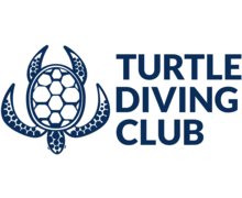 Turtle Diving Club