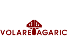 Volare Agaric