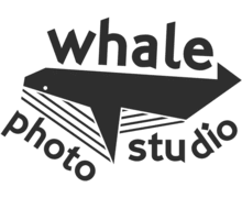 Whale Photo