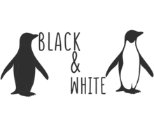 Black and White