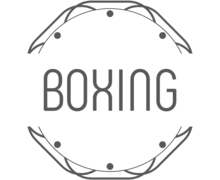 boxing Logo