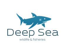 Deep Sea logo