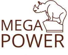 Mega Power