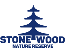 Stone Wood
