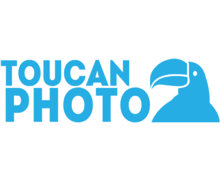 Toucan Photo