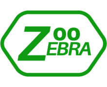 Zoo Zebra