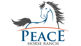 Peace Logo