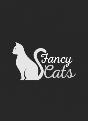 Clothing Store