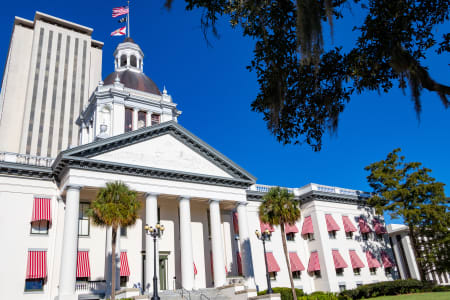 florida registered agent office
