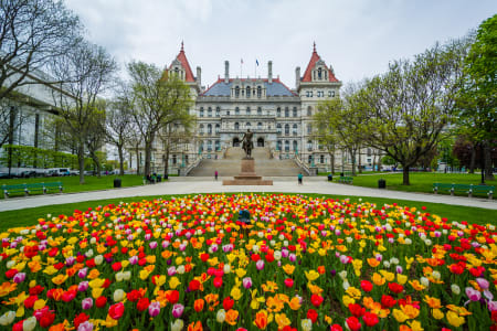 New York state capitol