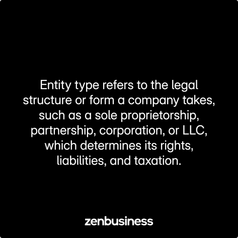 entity type defined