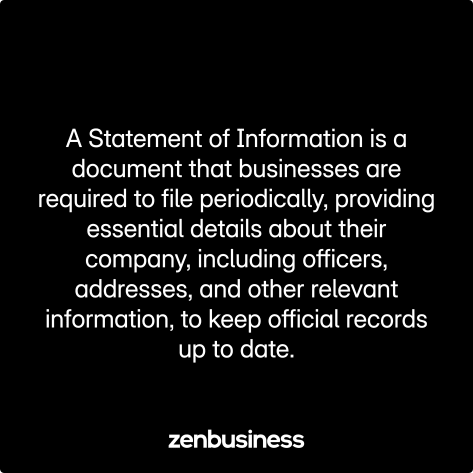 statement of information defined