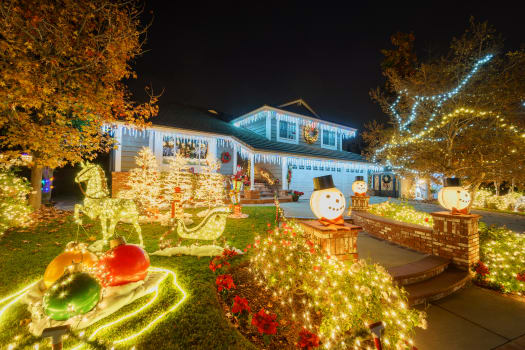 Starting a Christmas Light Business