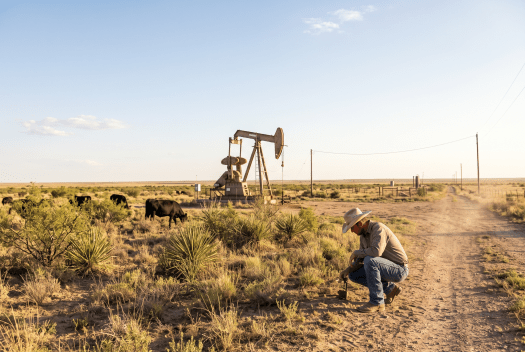 Business owner working on a Texas S corporation