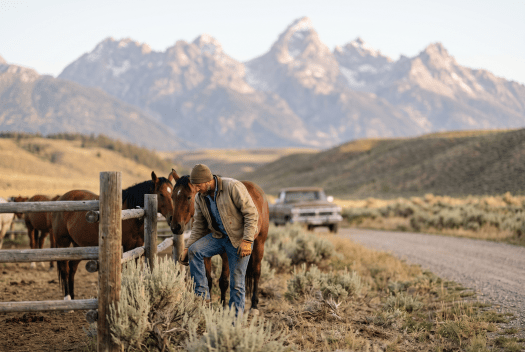 Business owner working on a Wyoming corporation
