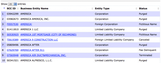 business license lookup virginia