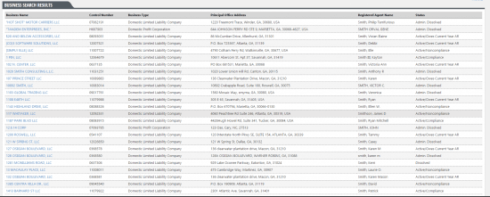 business license lookup georgia