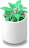 Grow