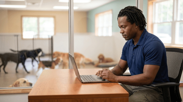 Dog boarding kennel owner creating an LLC for a pet boarding and dog care business