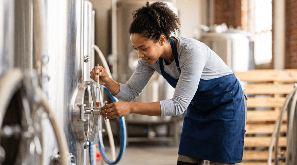 Kombucha brewery owner brewing kombucha