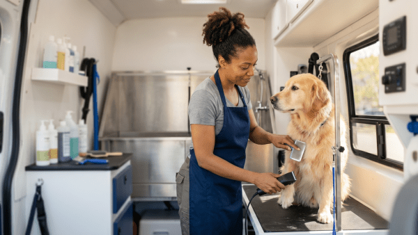 Mobile pet grooming service owner grooming a dog at a mobile dog grooming business