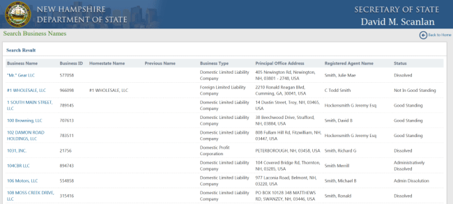 NH registered agent search results