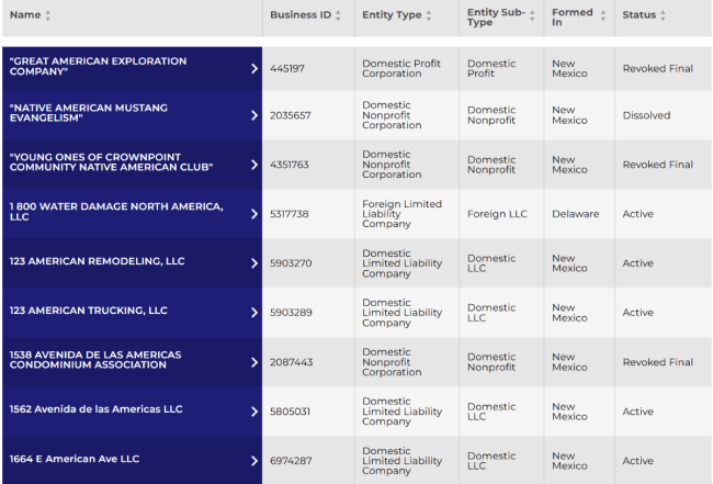 New Mexico business search results page 1