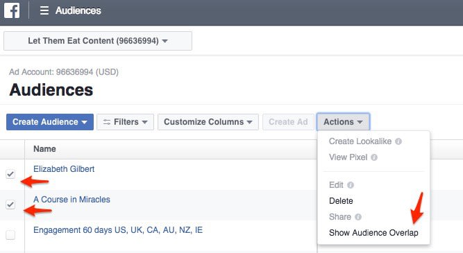 Facebook ads manager 9