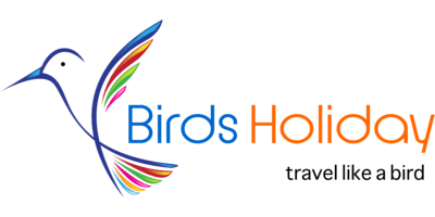 Birds Holiday Logo