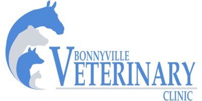 vet clinic logo