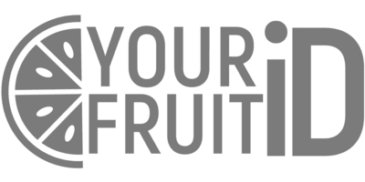 Fruit id ZenBusiness logo