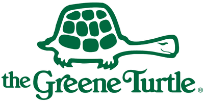 native american turtle symbol