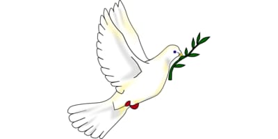 Peace Dove Logo