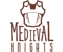 Medieval Knights ZenBusiness logo