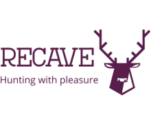 Recave ZenBusiness logo