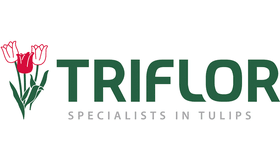 Triflor Logo