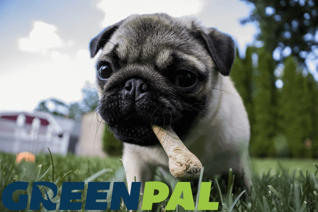 GreenPal merch