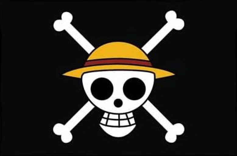 Onepiece Luffy Anime Pirate Pirata Logo Skull Caveira - Custom