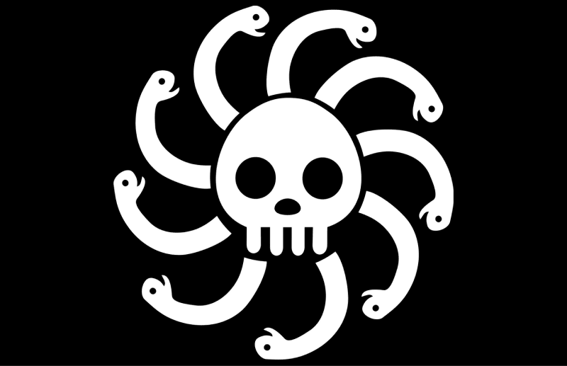 Les drapeaux  One piece logo, One piece crew, Pirate symbols