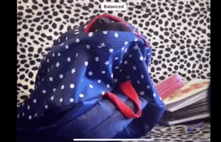 Jan-02-2022 06-41-41.gif