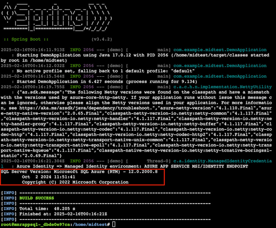 2025-02-16-appservice-springboot-01.png