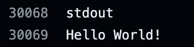 "Hello World!" が標準出力されている