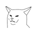 猫の奴隷