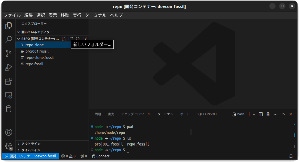 /images/20240117_devcon_fossil_vscode/devcon-fossil_10-open01.png