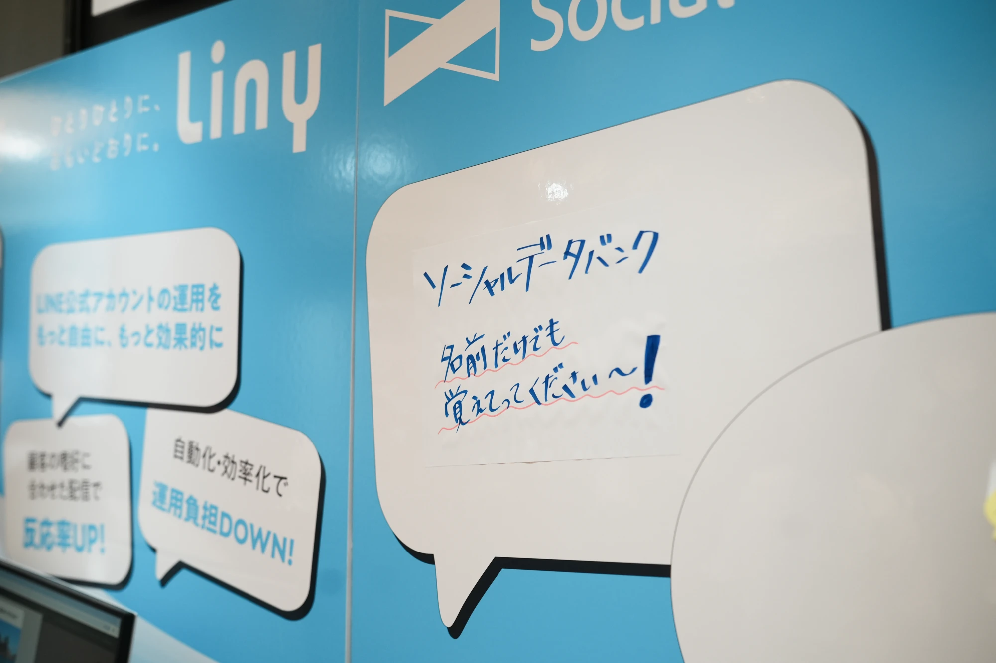 大パネル