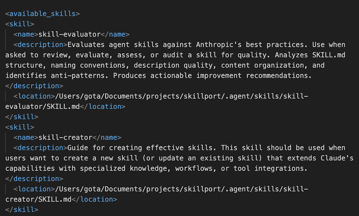 skillport doc --skills-only